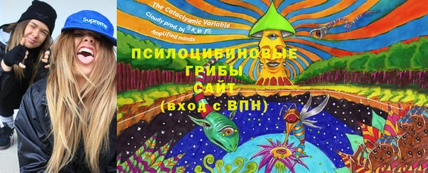 гашик Балабаново