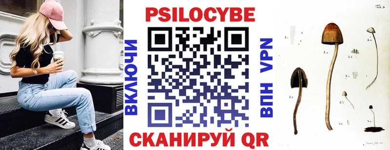Псилоцибиновые грибы мухоморы  где найти наркотики  Безенчук 