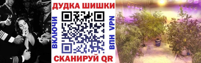 где купить   Безенчук  Канабис MAZAR 